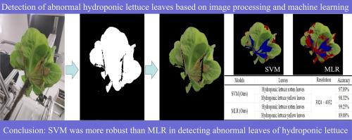 Detection of abnormal hydroponic lettuce leaves based on image processing and machine learning