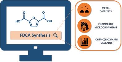 A patent survey on the biotechnological production of 2,5-furandicarboxylic acid (FDCA): Current trends and challenges