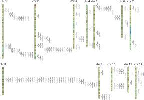 Mapping and identification of QTL for agro-physiological traits in rice (Oryza sativa L.) under drought stress