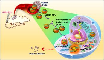 Nano-formulated siRNA-based therapeutic approaches for cancer therapy