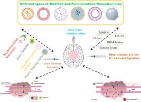 Transport of nanocarriers to brain for treatment of glioblastoma multiforme: Routes and challenges