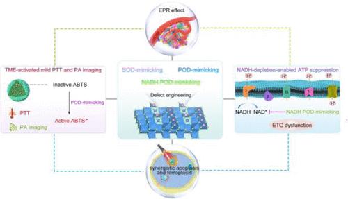 “Electron Transport Chain Interference” Strategy of Amplified Mild-Photothermal Therapy and Defect-Engineered Multi-Enzymatic Activities for Synergistic Tumor-Personalized Suppression