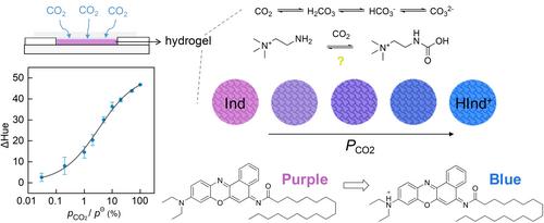 A Tunable Colorimetric Carbon Dioxide Sensor Based on Ion-Exchanger- and Chromoionophore-Doped Hydrogel