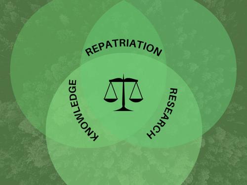 Academic research and knowledge repatriation at the intersection of epistemic and environmental justice in the Caribbean