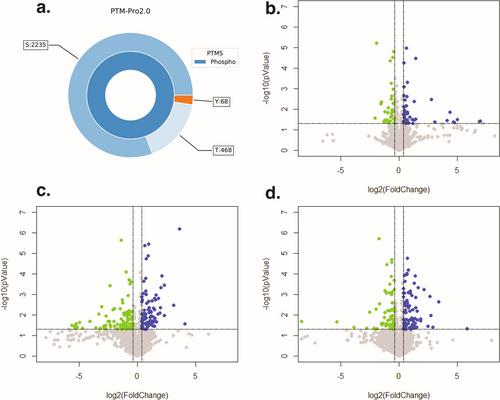 Temporal phosphoproteomic analysis of VEGF-A signaling in HUVECs: an insight into early signaling events associated with angiogenesis