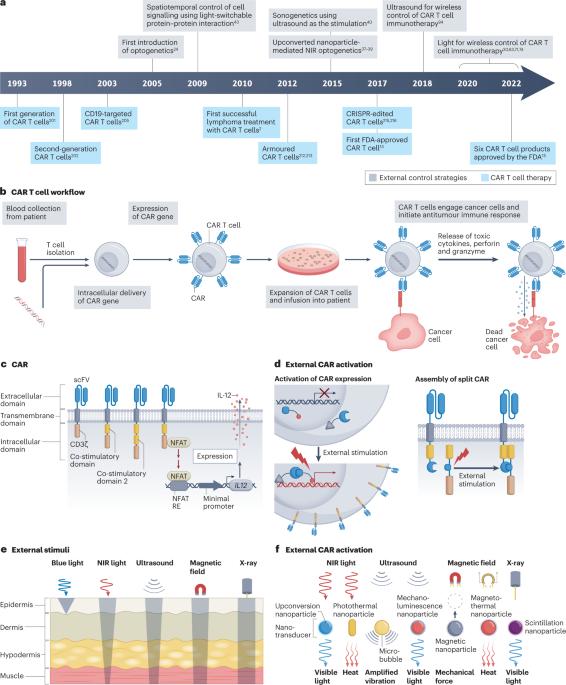 Remote control of cellular immunotherapy