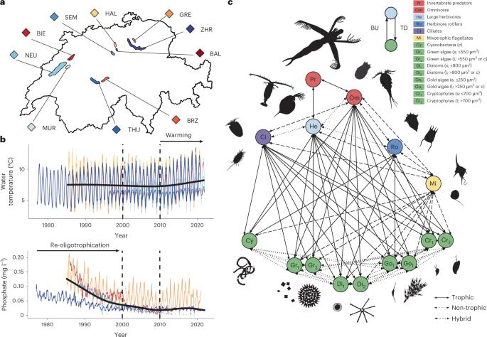 Disruption of ecological networks in lakes by climate change and nutrient fluctuations