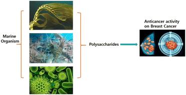 Polysaccharides from marine biological resources and their anticancer activity on breast cancer