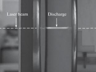 Dynamics of Discharge Development in a Homogeneous DC Field Initiated by a Plasma Filament Created by a Femtosecond Laser Pulse