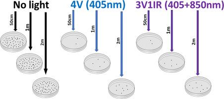 The combination of violet light and infra-red as well as violet light only effectively suppress the survival of multiple-drug resistant bacteria