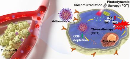 A dandelion-like nanomedicine via hierarchical self-assembly for synergistic chemotherapy and photo-dynamic cancer therapy