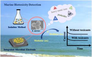 Feasibility investigation and development of microbial electrochemical biosensors for marine pollution monitoring