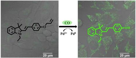 A mitochondria-targeted fluorescent probe for imaging of endogenous carbon monoxide in living cells