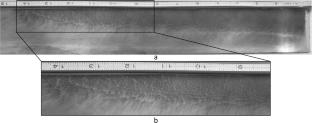 Detonation propagation through a diffuse-interface gas layer