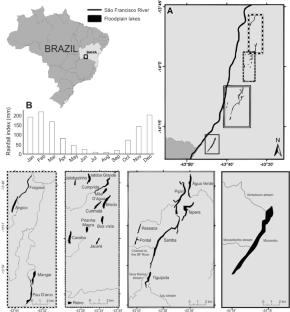 -I fish, therefore I monitor: Participatory monitoring to assess inland small-scale fisheries