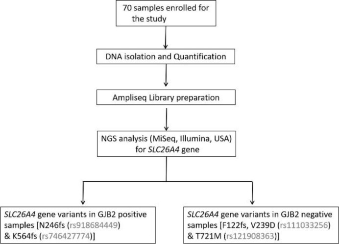 Analysis of <i>SLC26A4</i> Gene in Individuals with Non Syndromic Hearing Impairment in Relation with <i>GJB2</i> Associated Mutations.