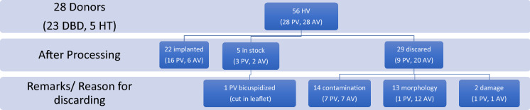 How to counteract the lack of donor tissue in cardiac surgery? Initial experiences with a newly established homograft procurement program.