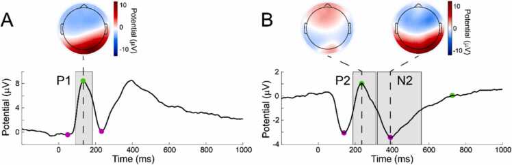 Behavioural inhibition and early neural processing of happy and angry faces interact to predict anxiety: a longitudinal ERP study