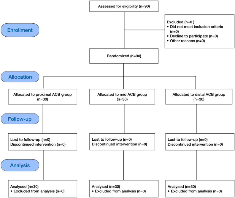 Comparison of the Effectiveness of Ultrasound-Guided Proximal, Mid, or Distal Adductor Canal Block after Knee Arthroscopy.