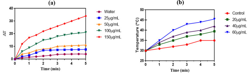 The Combination of Photothermal Therapy and Chemotherapy using Alginate-Modified Iron Oxide-Gold Nanohybrids Carrying Cisplatin.