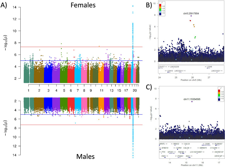 Large multi-ethnic genetic analyses of amyloid imaging identify new genes for Alzheimer disease.