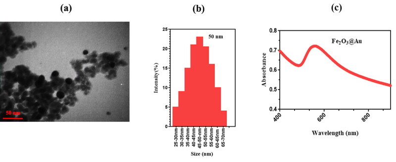 The Combination of Photothermal Therapy and Chemotherapy using Alginate-Modified Iron Oxide-Gold Nanohybrids Carrying Cisplatin.