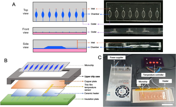 Paper-Based Radial Flow Assay Integrated to Portable Isothermal Amplification Chip Platform for Colorimetric Detection of Target DNA.