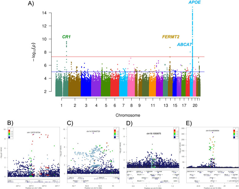 Large multi-ethnic genetic analyses of amyloid imaging identify new genes for Alzheimer disease.