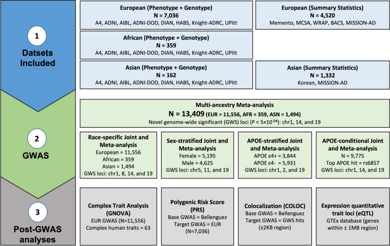 Large multi-ethnic genetic analyses of amyloid imaging identify new genes for Alzheimer disease.