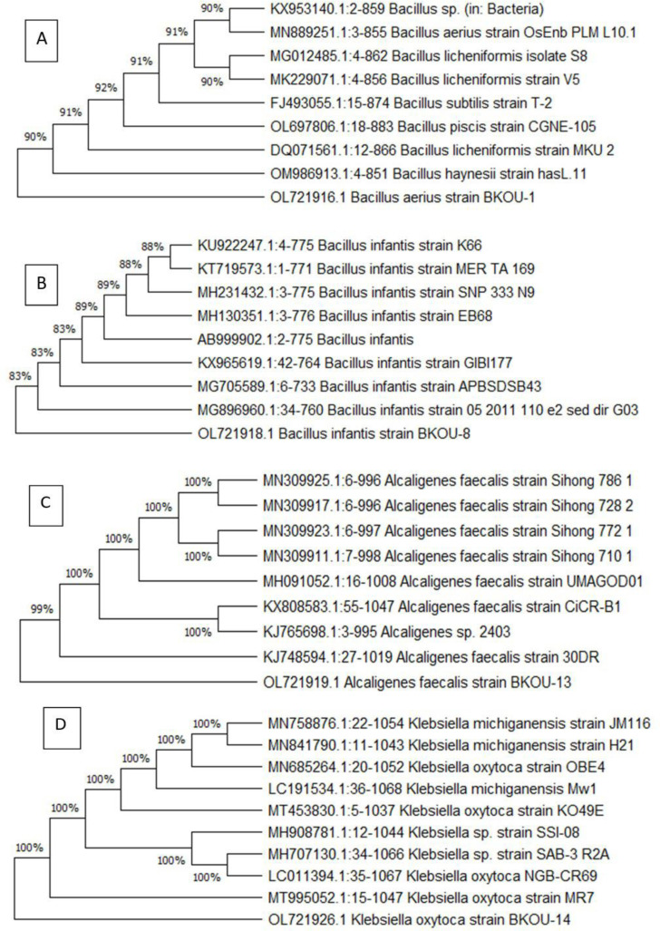 Plant growth promoting and antagonistic traits of bacteria isolated from forest soil samples.