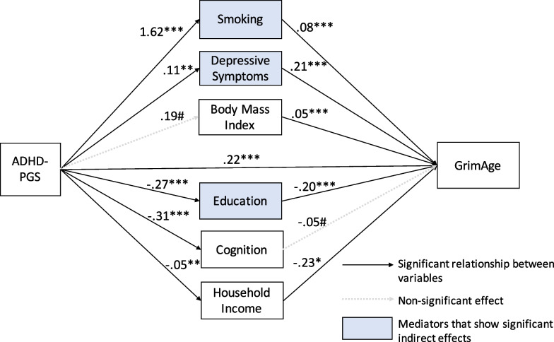 ADHD genetic burden associates with older epigenetic age: mediating roles of education, behavioral and sociodemographic factors among older adults.