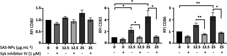 Human dendritic cell maturation induced by amorphous silica nanoparticles is Syk-dependent and triggered by lipid raft aggregation.