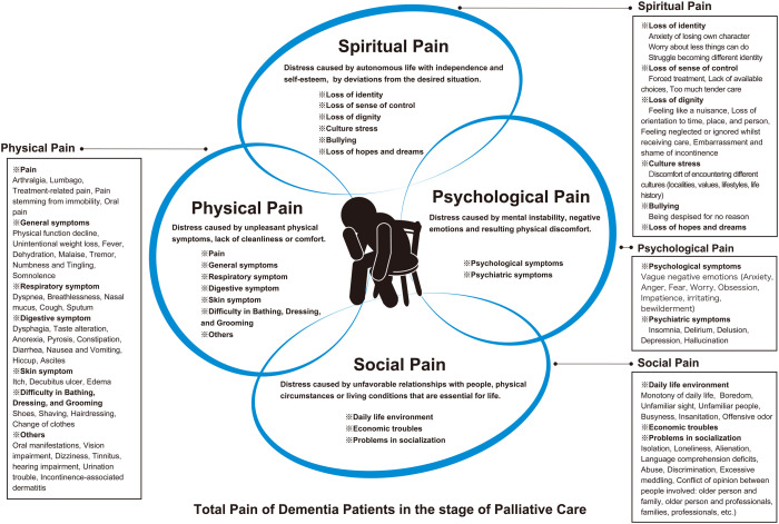 Total pain in advanced dementia: a quick literature review.