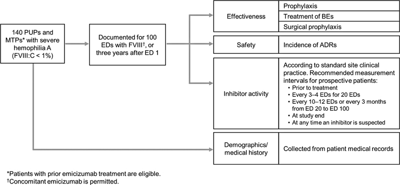 Design of a Real-World Observational Study in Previously Untreated and Minimally Treated Hemophilia A Patients: Protect-NOW.