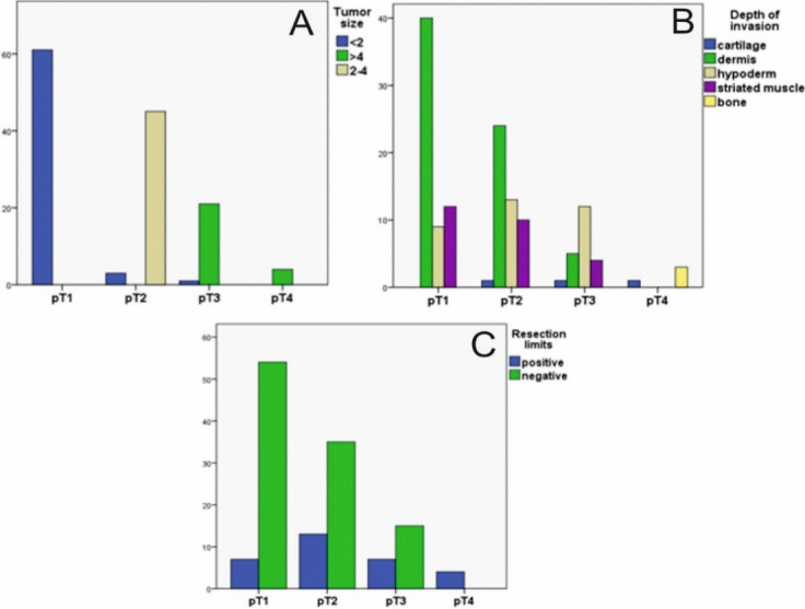 Statical Association between Clinical and Histopathological Parameters for Keratinocyte Carcinomas.