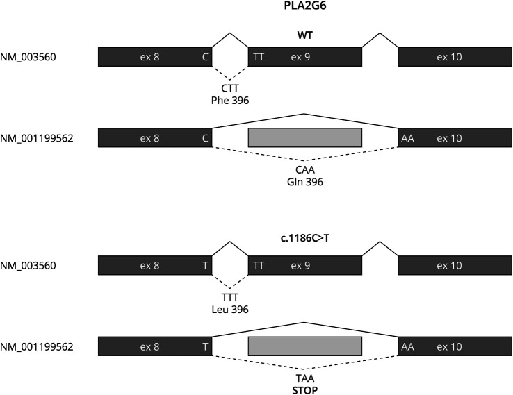 Whole-Exome Sequencing Study of Fibroblasts Derived From Patients With Cerebellar Ataxia Referred to Investigate CoQ10 Deficiency.