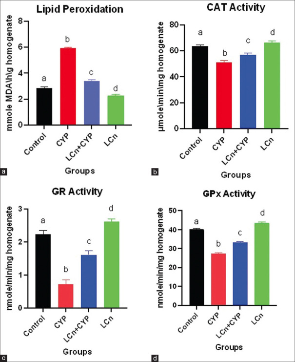 L-carnitine-loaded nanoparticle ameliorates cypermethrin-induced reproductive toxicity in adult male rats.