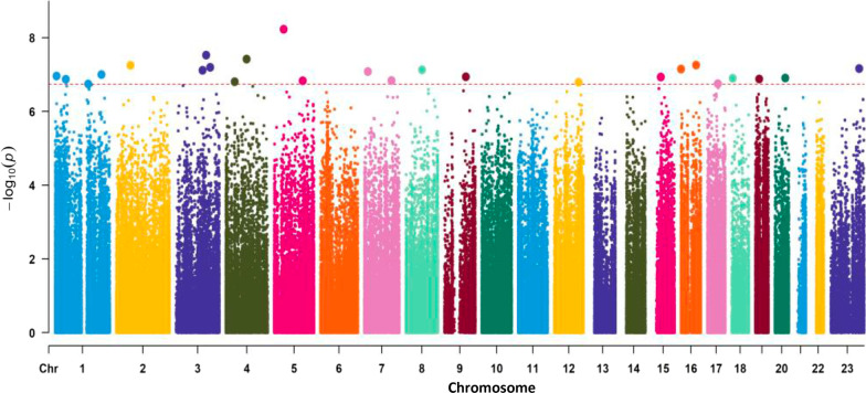 An epigenome-wide analysis of socioeconomic position and tumor DNA methylation in breast cancer patients.