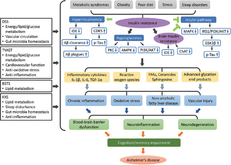 Network pharmacology implicates traditional Chinese medicine in regulating systemic homeostasis to benefit Alzheimer's disease.