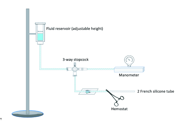 How Many Fenestrations Should I Make When Placing a Baerveldt Glaucoma Implant? A Laboratory Study.