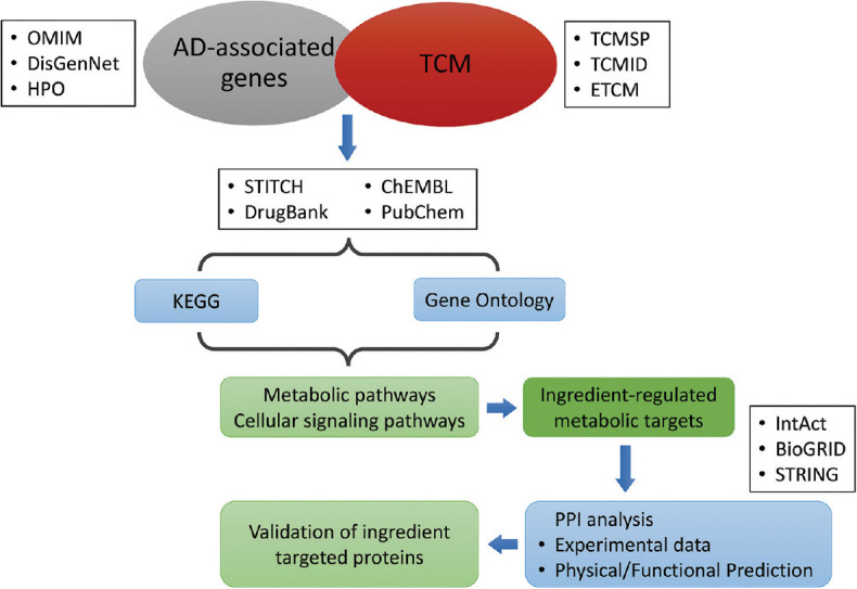 Network pharmacology implicates traditional Chinese medicine in regulating systemic homeostasis to benefit Alzheimer's disease.