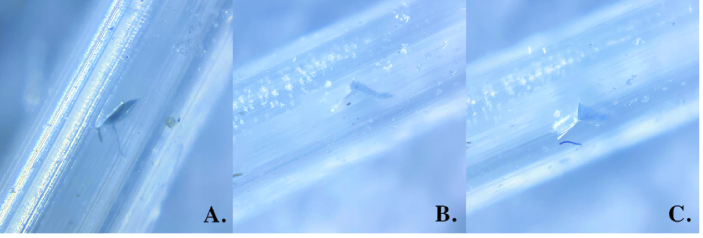 How Many Fenestrations Should I Make When Placing a Baerveldt Glaucoma Implant? A Laboratory Study.