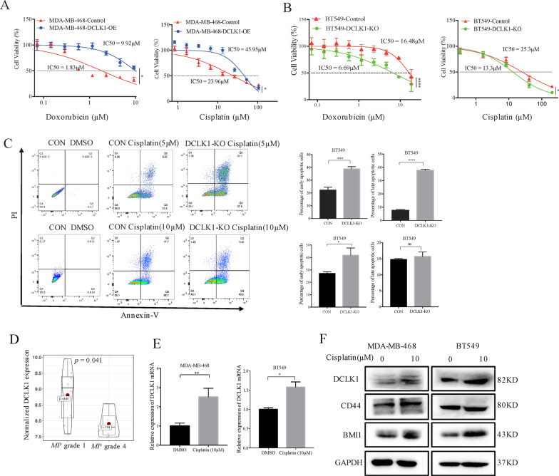 Targeting DCLK1 attenuates tumor stemness and evokes antitumor immunity in triple-negative breast cancer by inhibiting IL-6/STAT3 signaling.