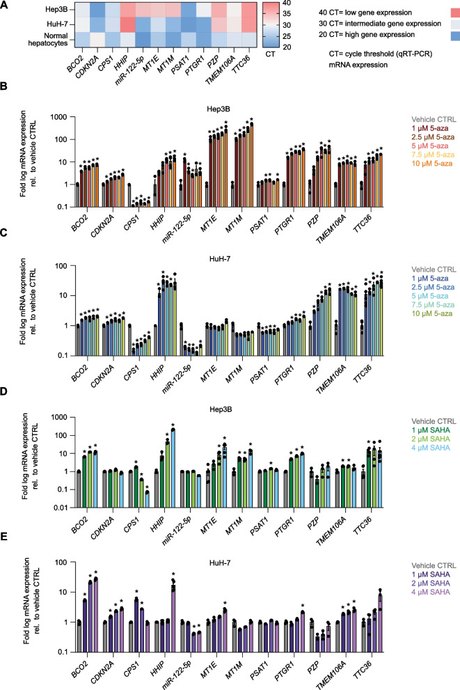 Epigenetic reactivation of tumor suppressor genes with CRISPRa technologies as precision therapy for hepatocellular carcinoma.