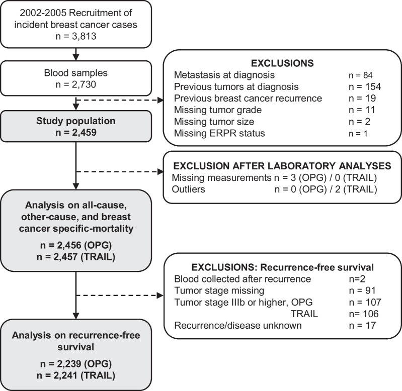 Postdiagnosis circulating osteoprotegerin and TRAIL concentrations and survival and recurrence after a breast cancer diagnosis: results from the MARIE patient cohort.