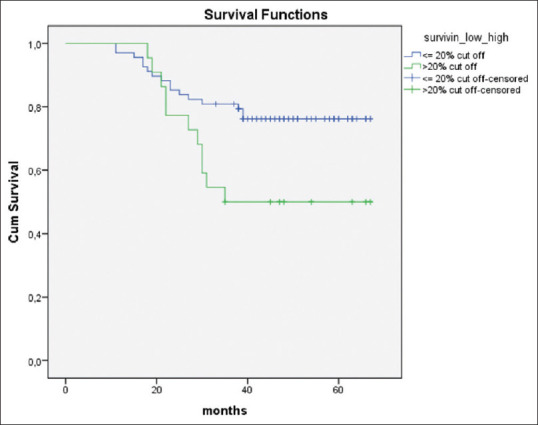 P53 and survivin expression in renal cell carcinoma.