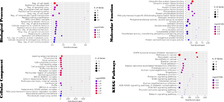 Computer-aided analysis of quercetin mechanism of overcoming docetaxel resistance in docetaxel-resistant prostate cancer.