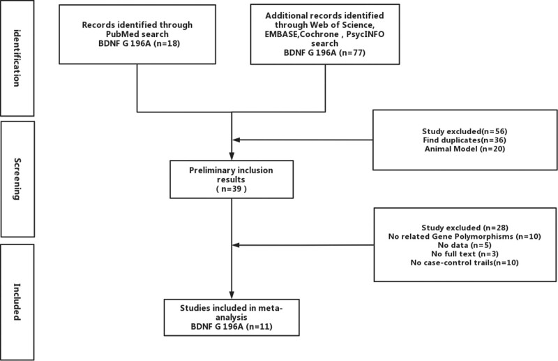 Pathoclinical associations between panic disorders and the brain-derived neurotrophic factor Val66Met polymorphism: an updated meta-analysis.