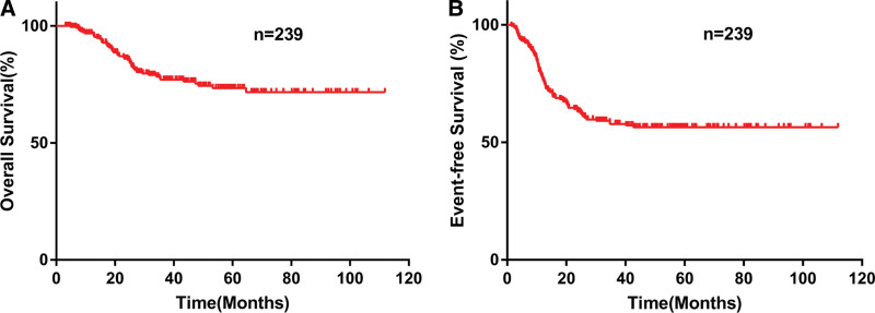 Heterogeneity analysis of the <i>CEBPA</i>dm AML based on bZIP region mutations.