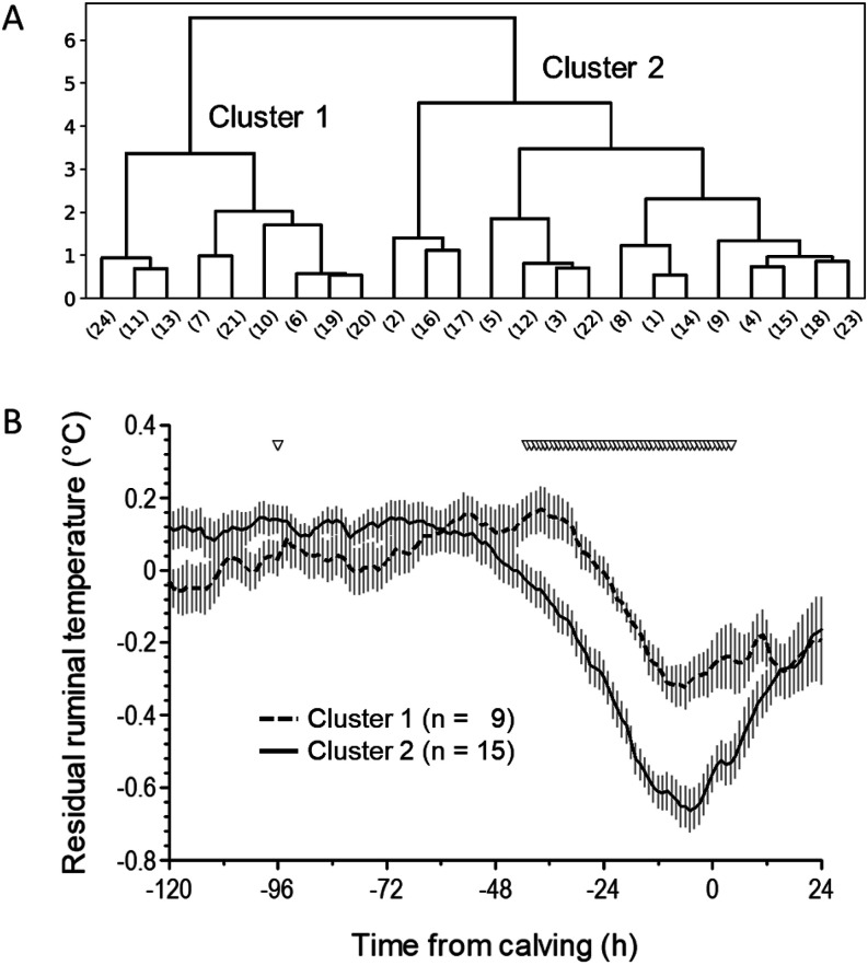 Analysis of sequential ruminal temperature sensor data from dairy cows to identify cow subgroups by clustering and predict calving through supervised machine learning.